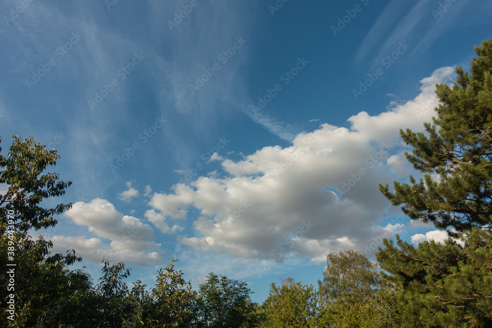 Obraz premium Landschaft im Herbst
