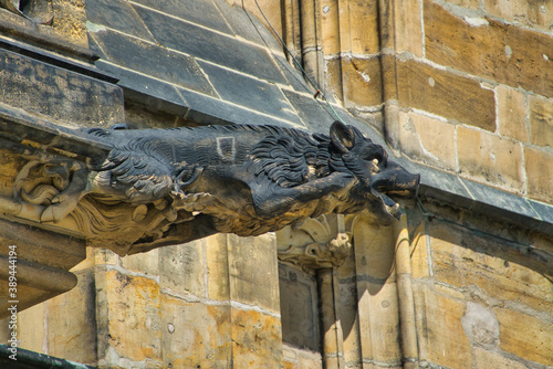Gargoyle, St. Vitus Cathedral, Prague.