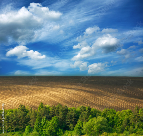Landscape of countryside coniferous forest on background of plowed land fields and blue sky with clouds
