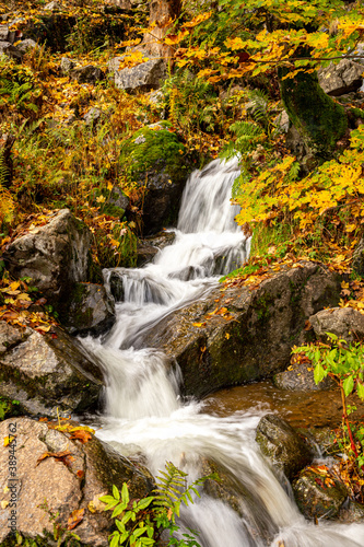 Fototapeta Naklejka Na Ścianę i Meble -  Todtnauer Wasserfall im Herbst