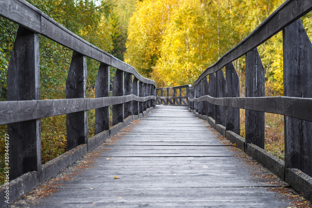 A wooden pier going through a forest in an autumn scenery