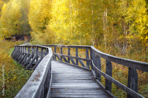 A wooden pier going through a forest in an autumn scenery
