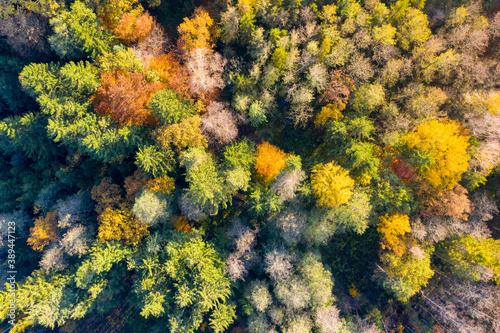 Luftaufnahme: Bayrischer Wald im Herbst