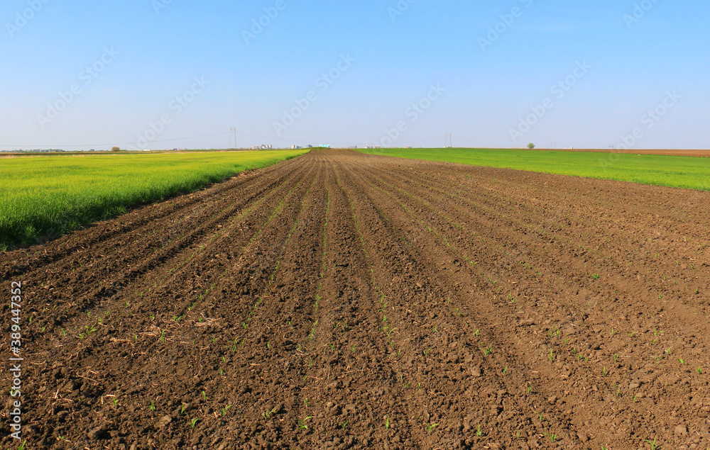 Plowed field in spring time with blue sky Plowed field in spring time with blue sky