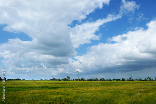 Panorama-foto von ostfriesischer Landschaft im Sommer mit Getreidefeld und Windr  dern und gro  en wei  en wolken vor blauem himmel - Stockfoto