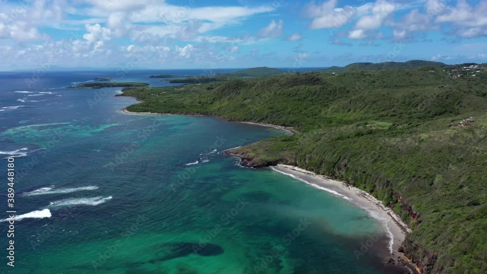 trace de caps Martinique coastline aerial shot tropical vibes beaches mangroves and palm trees trace de caps Martinique coastline aerial shot tropical vibes beaches mangroves and palm trees