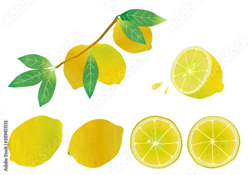 illustration set of various lemons