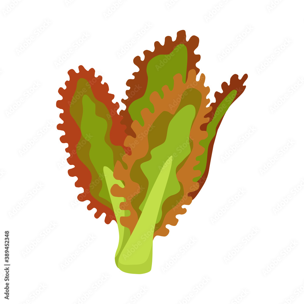 Green fresh salad vegetable and herb, organic vegetarian food, illustration isolated on white background. Green fresh salad vegetable and herb, organic vegetarian food, illustration isolated on white background.