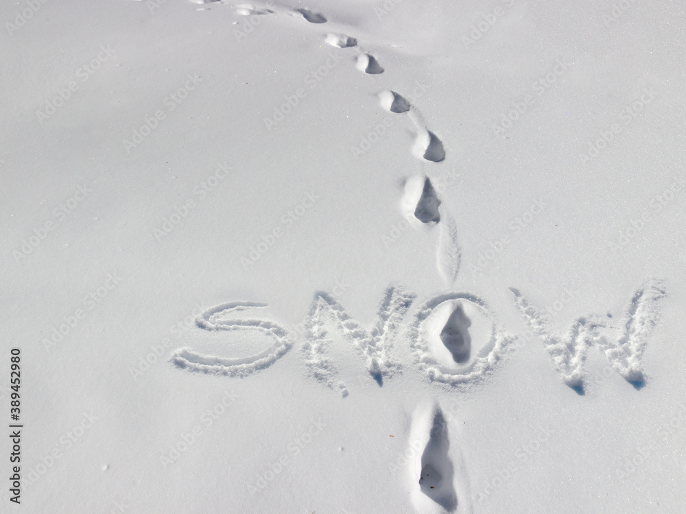 The footprints on the snow in cold winter. The inscription 