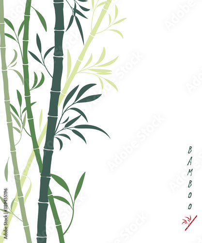 Vector bamboo background with dark and light green bamboo stems and leaves. Isolated on white, place for text, copyspace. Oriental art, Sumi-e stylization