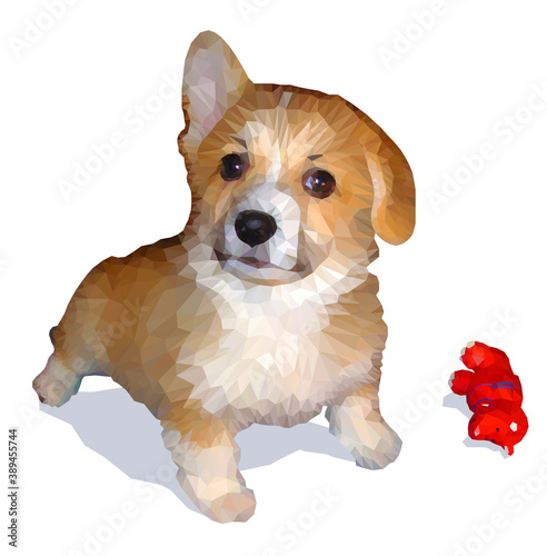 Cute dog of welsh corgi. Hand drawing in low-polygon style.