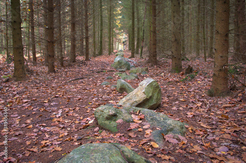 Stone rows in Kounov. 
Unknown origin stone lines in forest near Kounov. 
Prehistoric monument in Czech Republic.