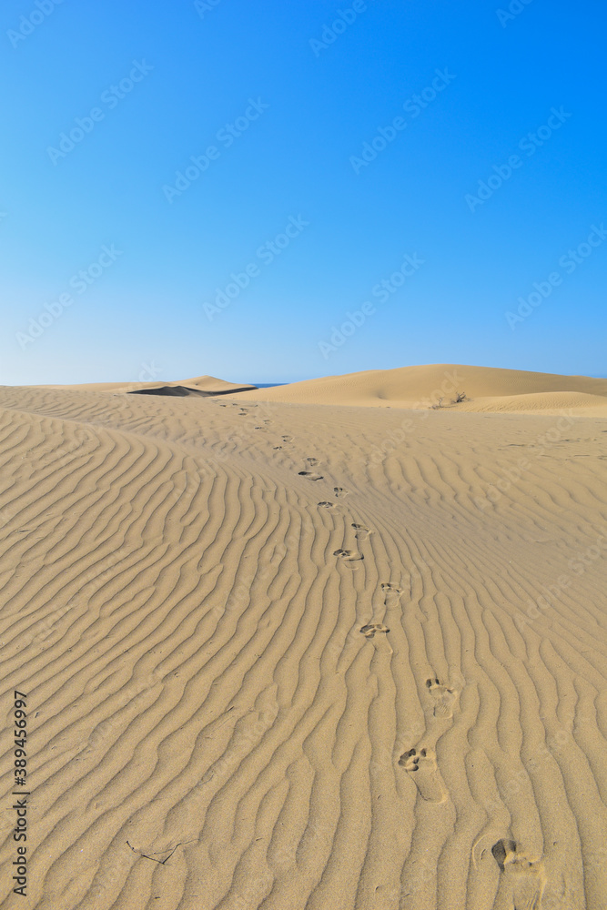 Footprints in the desert sand dunes.