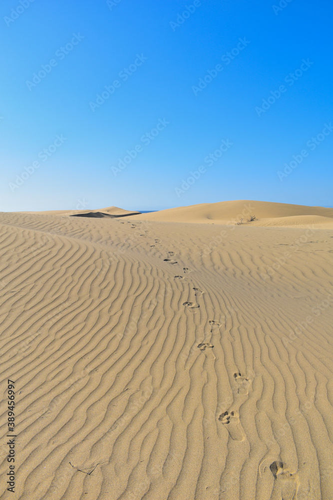 Footprints in the desert sand dunes. Footprints in the desert sand dunes.