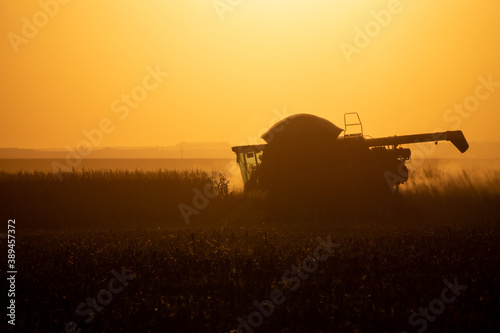 combine harvester at sunset corn harvest