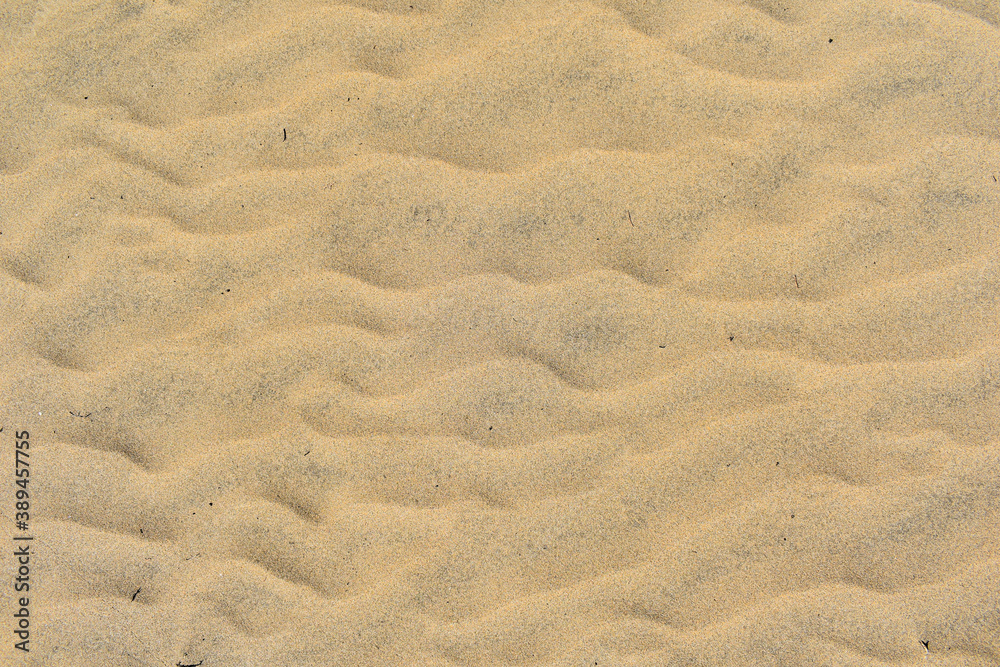 Textured orange desert sand background. Textured orange desert sand background.