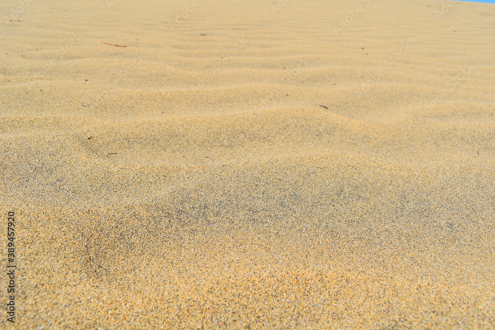 Textured orange desert sand background. Textured orange desert sand background.