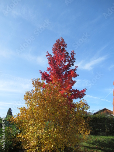 automne