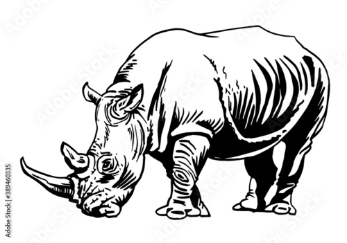 Vector ink-pen illustration of rhino isolated on white background