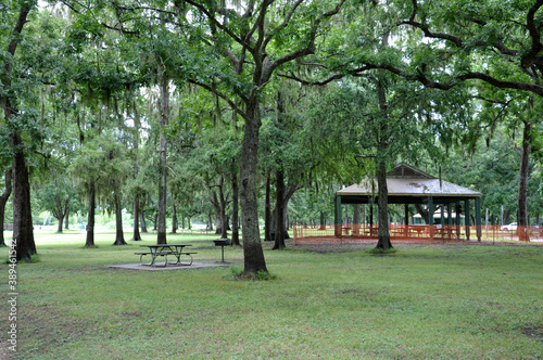 Picnic area in Brazos Bend State Park, Needville, Texas