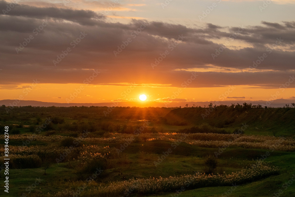 Obraz premium Road with dark reeds in autumn