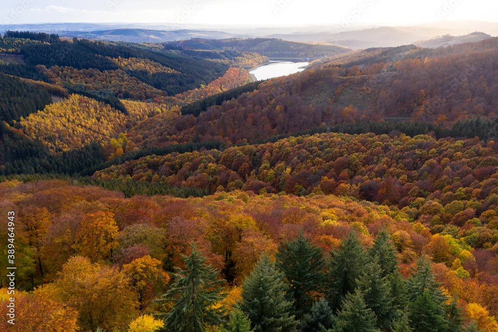 the rothaargebirge mountains in germany in autumn