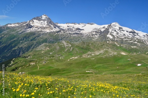 Vanoise National Park with the Dent Parrachée from Bellecombe. France photo