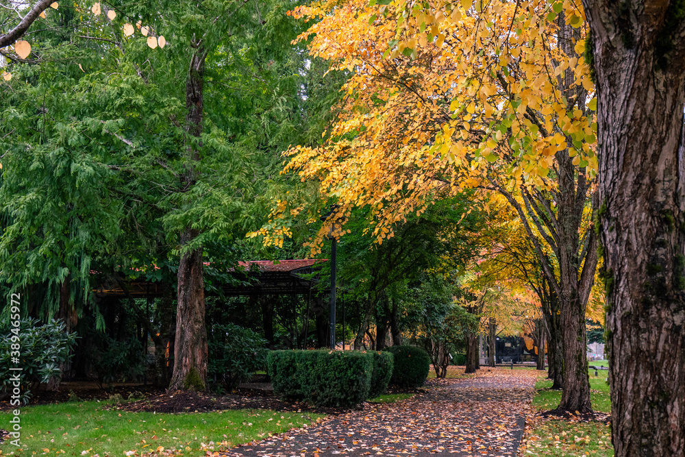 Snoqualmie WA. - USA: Centennial Path at Northern Pacific Depot