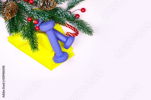 Christmas fitness. Healthy and active lifestyles greeting card concept. Purple dummbbells, yellow ruubber band, candy and fir-tree on pink