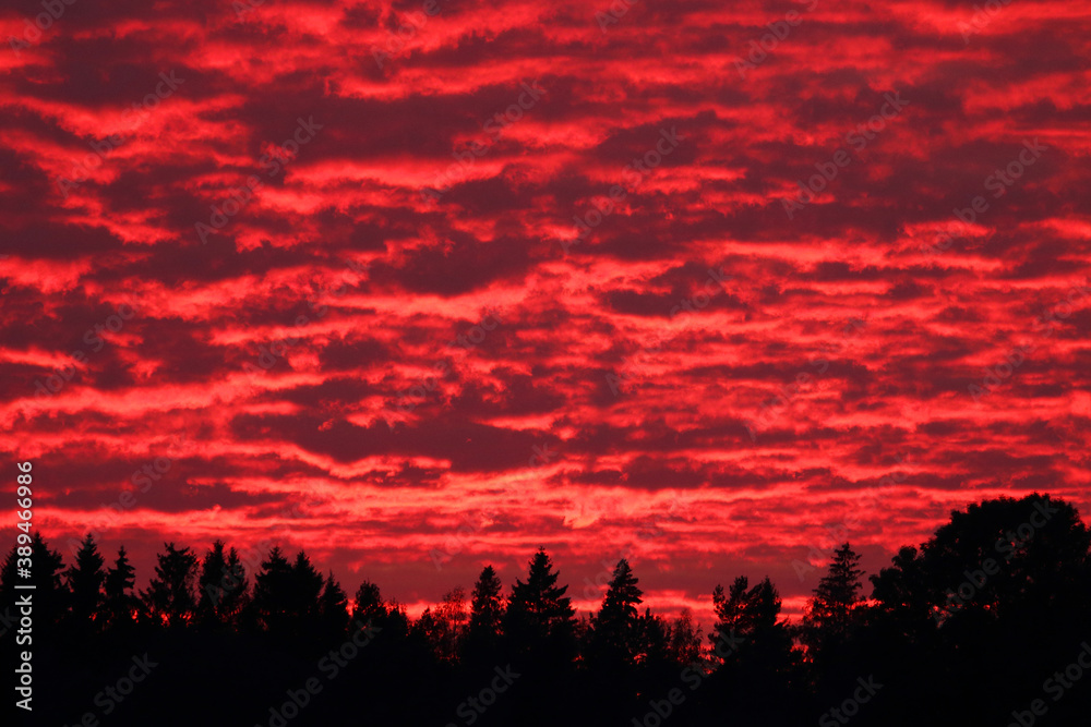 A vibrant red cloudy sky after a sunset over a dark boreal forest in Estonia. 
