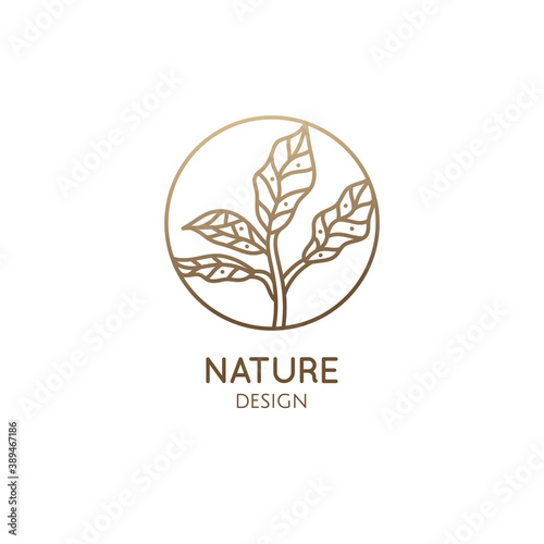 Fototapeta Naklejka Na Ścianę i Meble -  Tropical plant logo. Round emblem leafs in linear style. Icon of fresh green tea. Vector abstract badge for design of natural products, flower shop, cosmetics, ecology concepts, health, spa Center