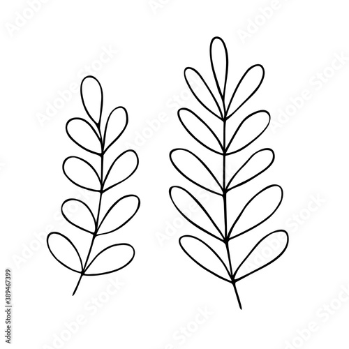 Leaves simple outline vector minimalist concept illustration  thin line hand drawn floral branch  element for invitations  greeting cards  booklet design