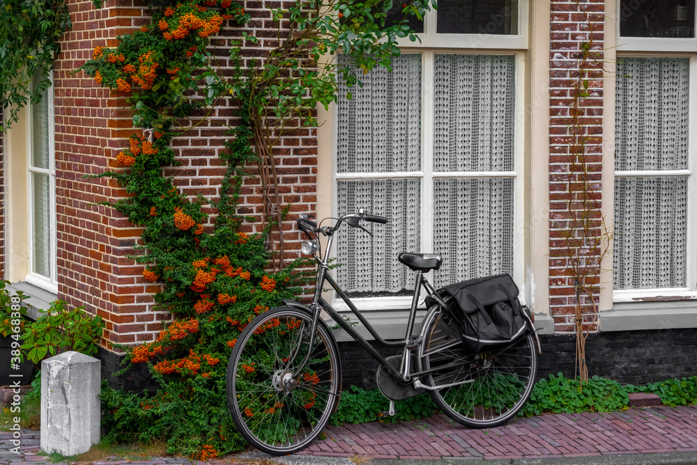 A green bike leaning against the house with white lace curtains in the windows