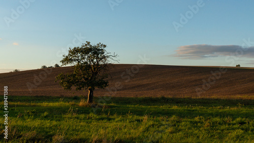 Landschaft im Herbst