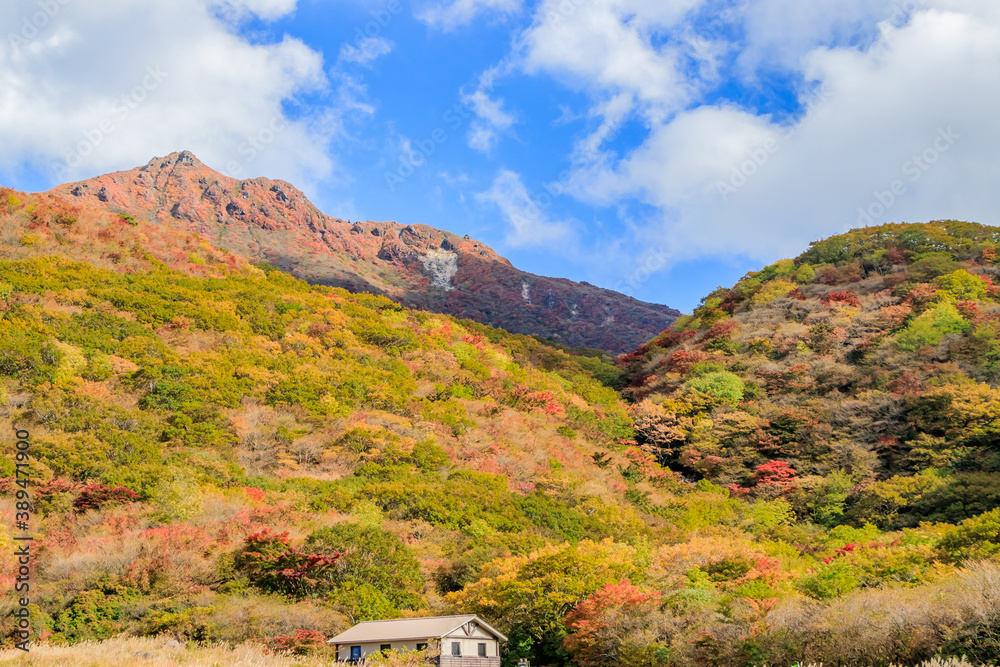 坊ガツルから見た大船山（秋）　大分県玖珠郡　Mt.Daisenzan seen from Bougatsuru  (autumn) Ooita-ken Kusu-gun