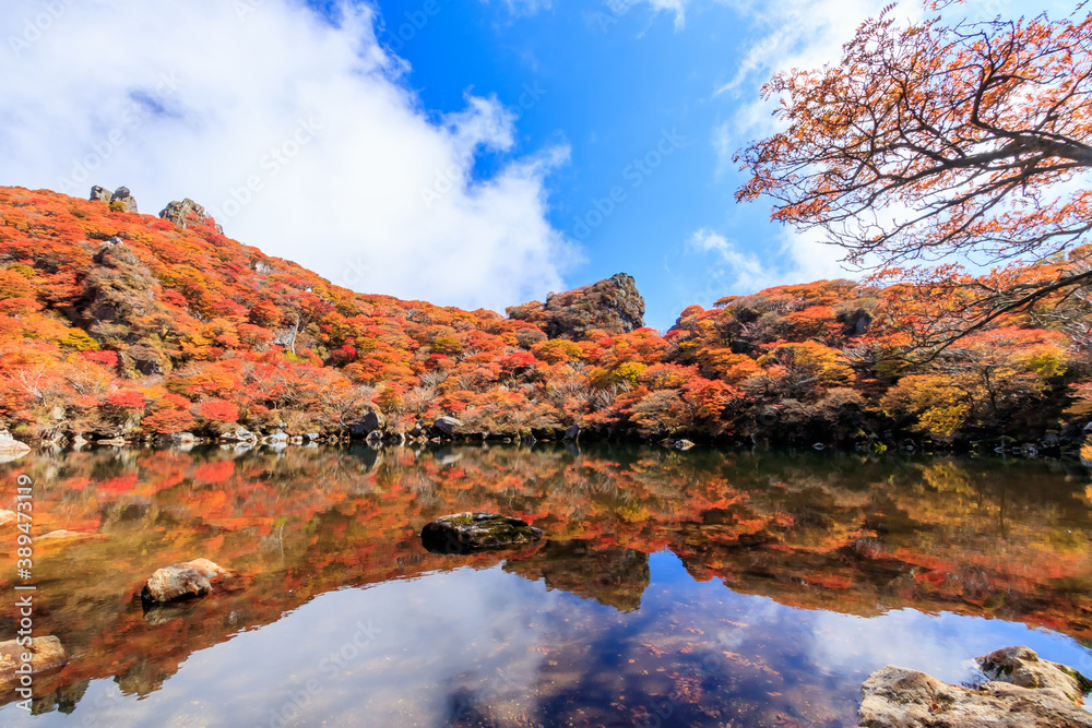 紅葉と御池　大船山　大分県玖珠郡　
Autumn leaves and Oike Mt.Daisenzan Ooita-ken Kusu-gun