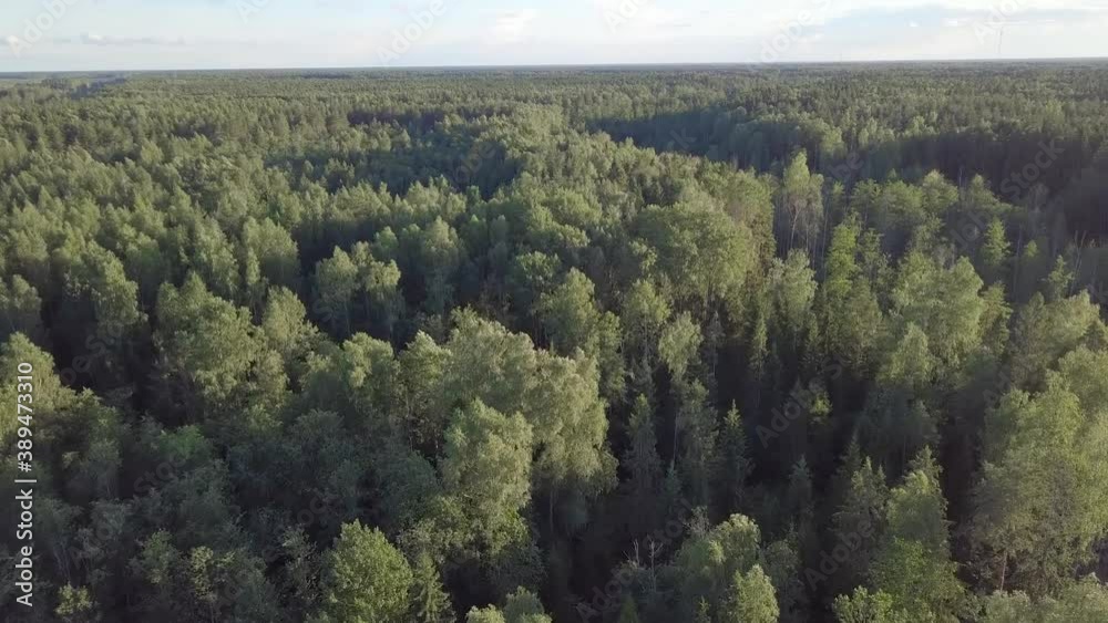 Flight over the forest, aerial view. Flight over the forest, aerial view.