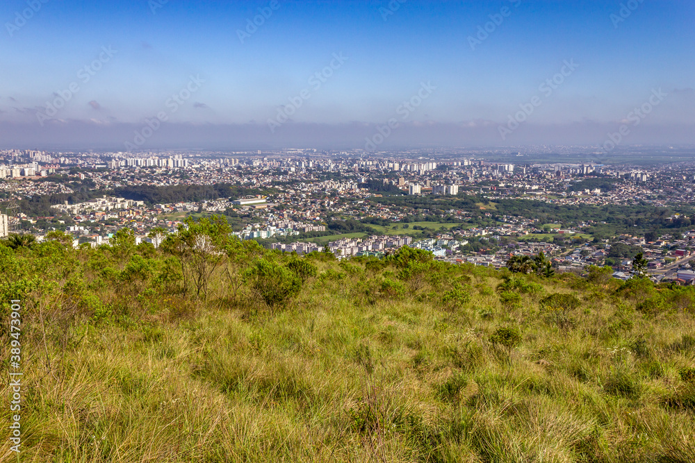 Vegetation and Porto Alegre cityview from Morro Santana