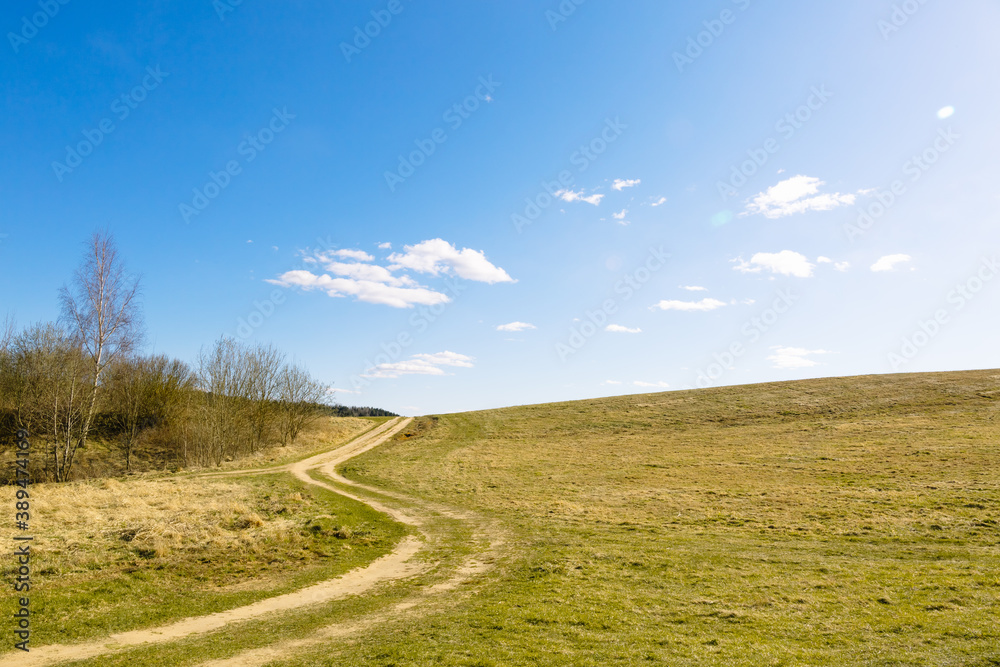 A rural dirt road stretches along bends along the edge of the forest along a field against a blue sky in fine sunny weather. Can be used as a picture for interior decoration.
