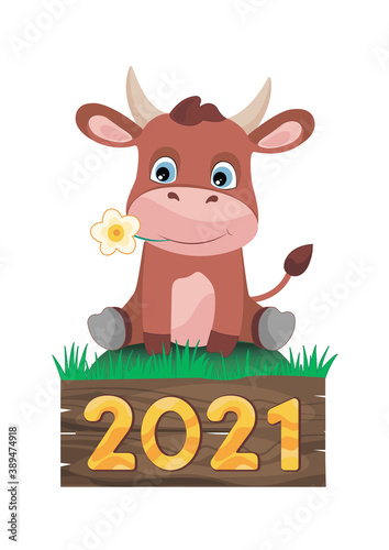 Vector illustration of a calf sitting on a green hill. Symbol 2021 year of the bull