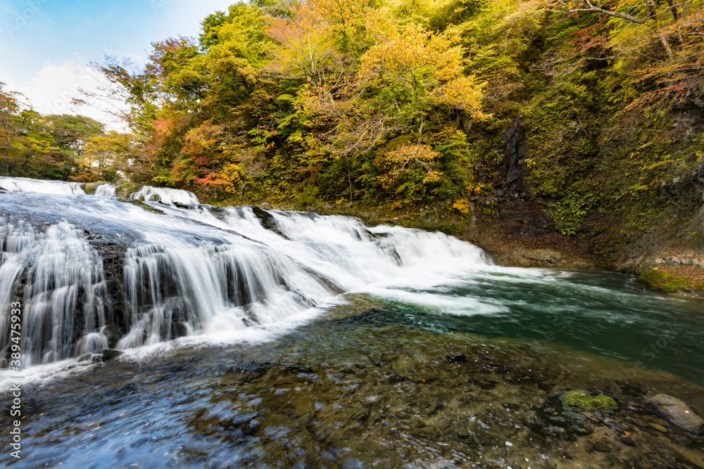 Obraz premium 日本 紅葉の浅布渓谷不動の滝