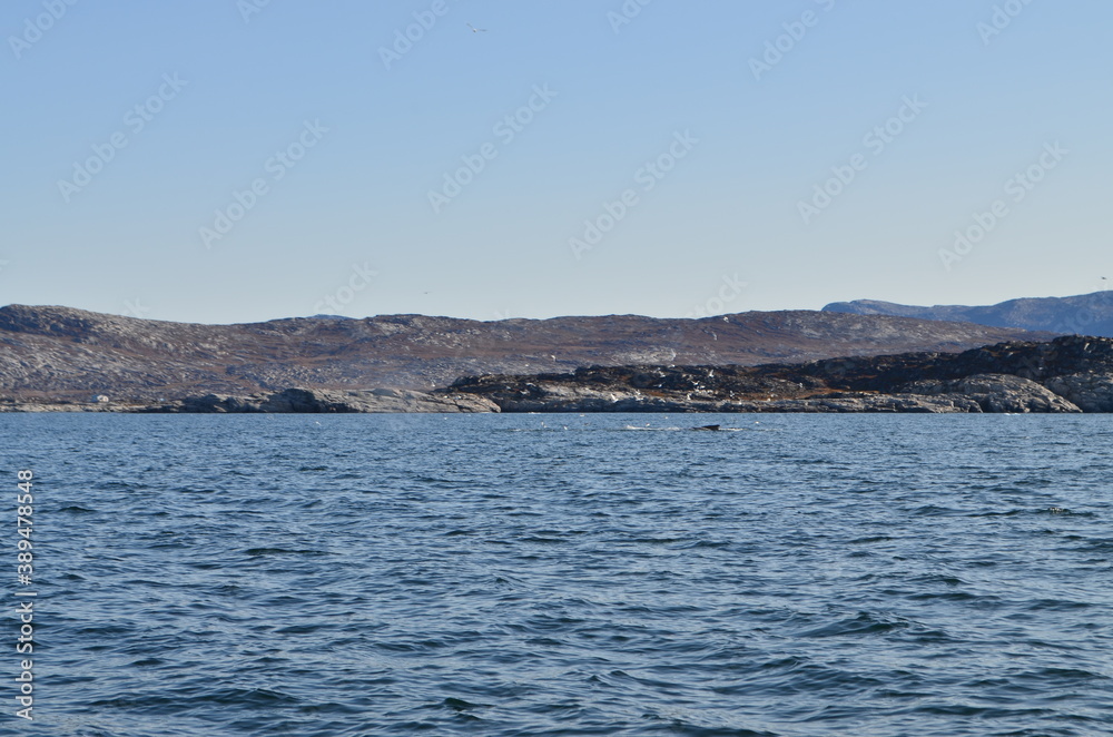 Iluissat, Oqaatsut, Oqaitsut, formerly Rodebay or Rodebaai, Greenland Iluissat, Oqaatsut, Oqaitsut, formerly Rodebay or Rodebaai, Greenland