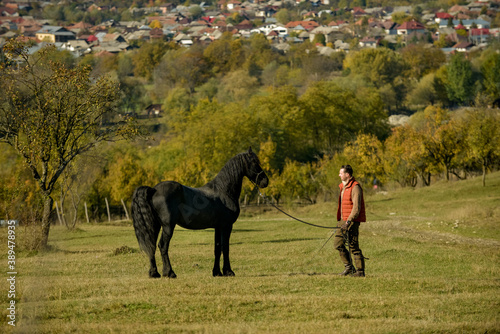 A black horse and a a man on a sunny autumn day.