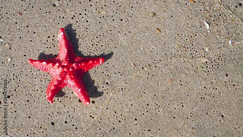 Starfish on the sand beach background. Sea and beach concept landscape. Copy space. Starfish on the sand beach background. Sea and beach concept landscape. Copy space.