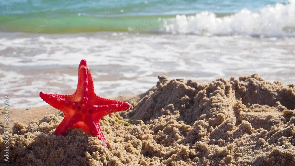 Starfish on the sand beach background. Sea and beach concept landscape. Copy space. Starfish on the sand beach background. Sea and beach concept landscape. Copy space.