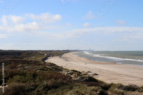 Strandspazierg  nger und Strandgras am Nordseestrand bei De Haan  Flandern  Belgien