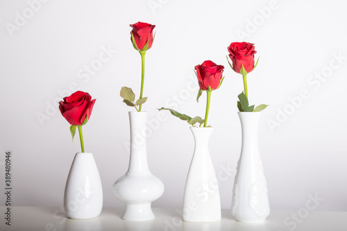 four white vases, each with a red rose against a white background