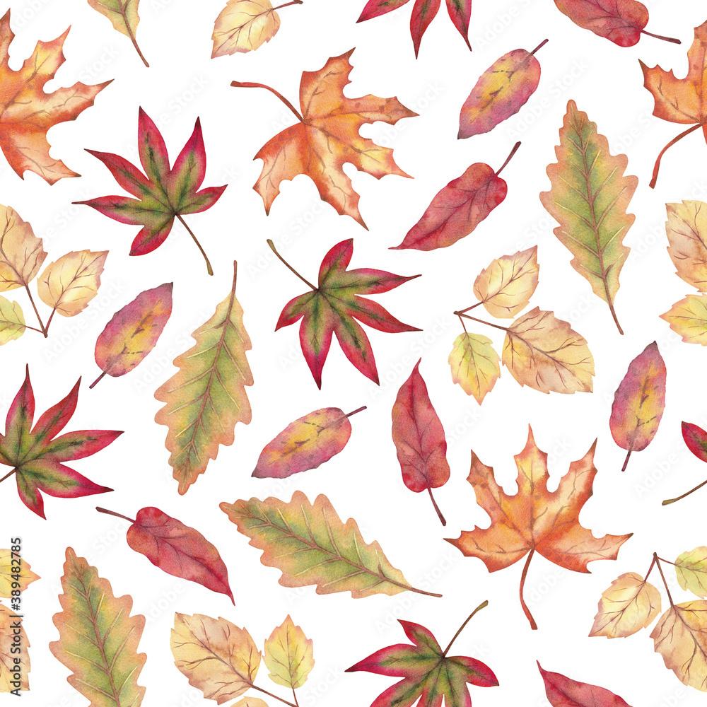 Autumn watercolor seamless pattern with leaves on a white background. Autumn watercolor seamless pattern with leaves on a white background.