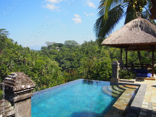 Amazing private infinity pool overlooking a tropical jungle, Ubud, Bali, Indonesia © Mithrax