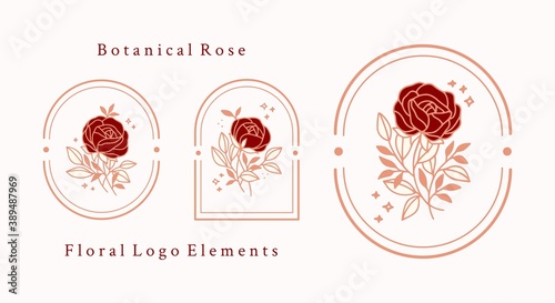 Hand drawn vintage botanical rose flower logo template and feminine beauty brand element set